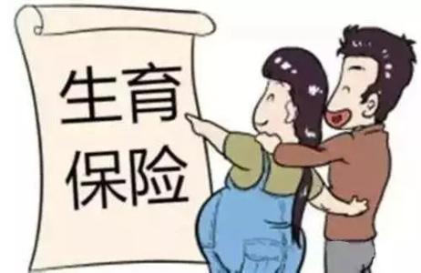 海南省生育保险新规定 第1张